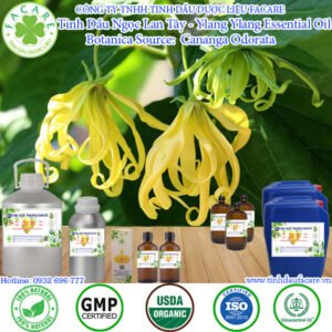 Tinh Dầu Ngọc Lan - Ylang Ylang Essential Oil
