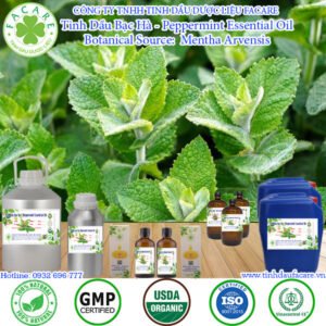 Tinh Dầu Bạc Hà - Peppermint Essential Oil