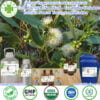 Tinh Dầu Bạch Đàn - Eucalyptus Citriodora Essential Oil