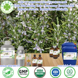Tinh Dầu Hương Thảo - Rosemary Essential Oil