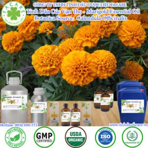 Tinh Dầu Cúc Vạn Thọ - Marigold Essential Oil