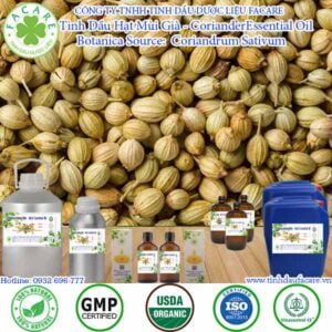 Tinh Dầu Hạt Ngò - Coriander Essential Oil