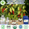 Tinh Dầu Ớt - Capsicum Oleoresin