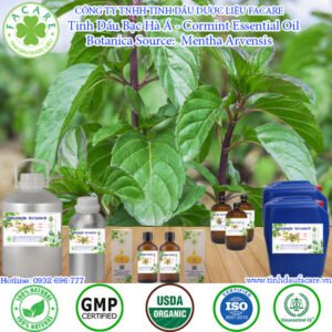 Tinh Dầu Bạc Hà Á - Cormint Essential Oil