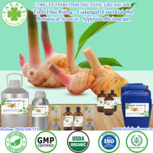Tinh Dầu Riềng - Galangal Essential Oil
